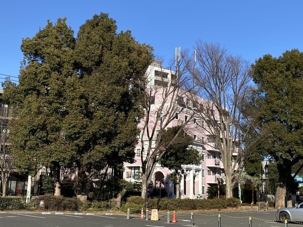 ロジェ芦花　の物件外観写真